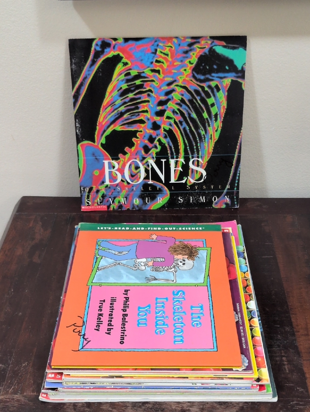 Scholastic Children's Non Fiction Set of 14 Picture Books Misc. Authors/Topics